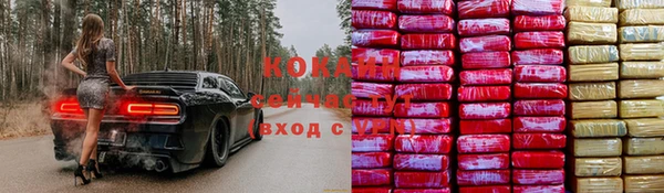 индика Уссурийск