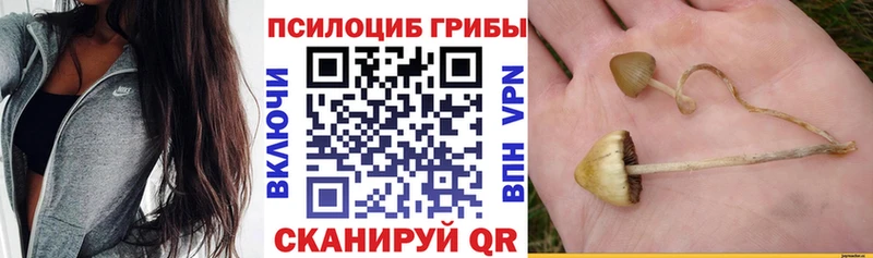 shop Telegram  Балаково  Галлюциногенные грибы мухоморы  наркотики 