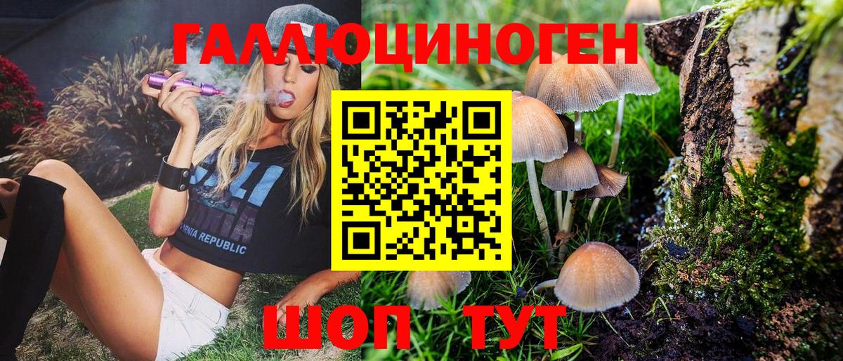 Балаково  дарнет шоп  Вход с VPN  Псилоцибиновые грибы Magic Shrooms  Псилоцибиновые грибы GOLDEN TEACHER 