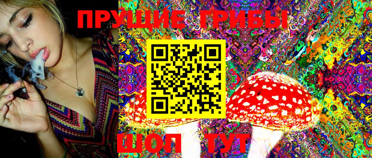 Галлюциногенные грибы Cubensis Балаково